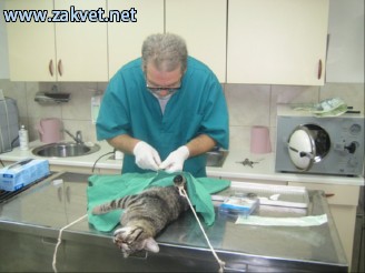 Ambulanta za male zivali  Slika 150